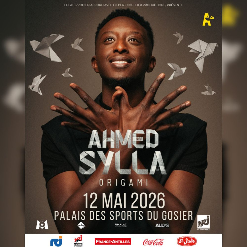 Ahmed Sylla : "Origami" au Palais des Sports