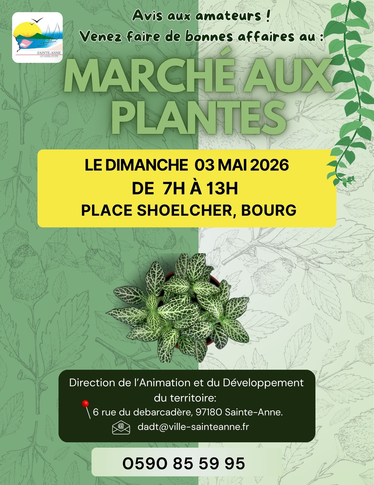 MARCHÉ AUX PLANTES : Donnez du vert à vos espaces !